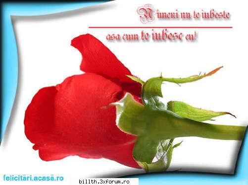 poze cu flori.. - deci..subiectul este ''poze cu flori''..asa ca - My Cool Forum