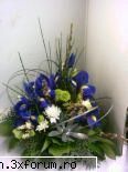 poze cu flori.. - un aranjament floral din cale albastre - My Cool Forum