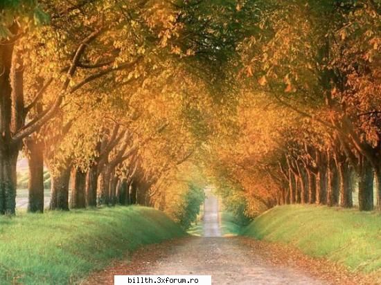 poze cu peisaje....punetzi shi voi...!!!! - autumm in germany - My Cool Forum