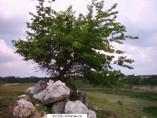 poze cu peisaje....punetzi shi voi...!!!! - Ceva mai...real....in Bacau, in Gheraiesti...va - My Cool Forum