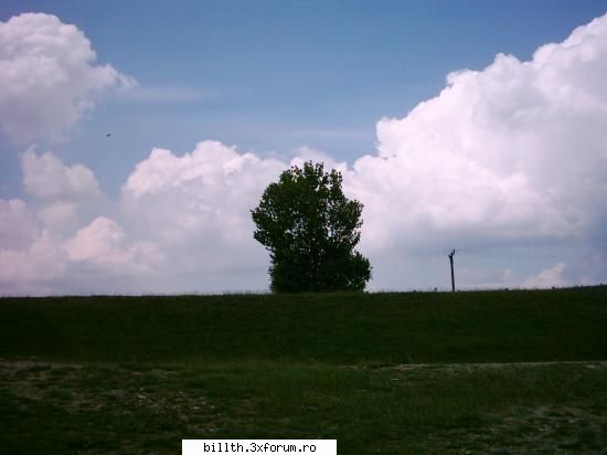 poze cu peisaje....punetzi shi voi...!!!! - Wow! ce mare-i acel pom....ajunge-n cer!!!!!!!! - My Cool Forum