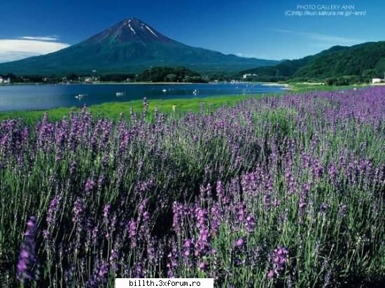 poze cu peisaje....punetzi shi voi...!!!! - Chrisa - My Cool Forum
