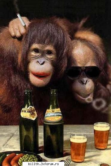 poze funny cu animalutze:D:D - si ink una tare - My Cool Forum