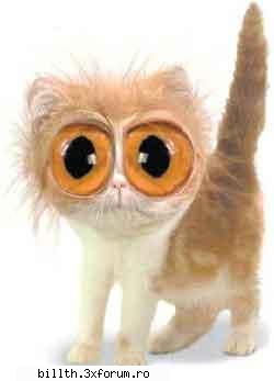 poze funny cu animalutze:D:D - Pis-pis-pis.....dc ati speriat, mey, mata?! - My Cool Forum