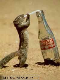 poze funny cu animalutze:D:D - Cui ii e sete?! - My Cool Forum