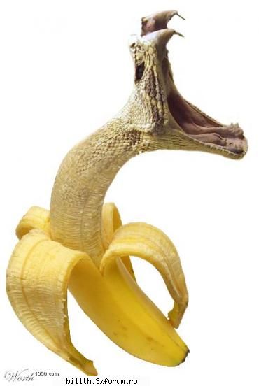poze funny cu animalutze:D:D - l3_diana - My Cool Forum
