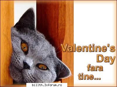 poze funny cu animalutze:D:D - poate mai apar doua....eu nu mai scriu mesaj,dau - My Cool Forum