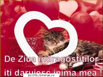 poze funny cu animalutze:D:D - nu pot fara mesaje......ma dispera - My Cool Forum
